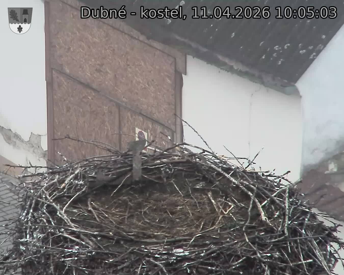 Capi_Dubne_20260411_100503.jpg (1350&nbsp;x&nbsp;1080)