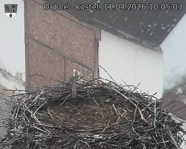 Capi_Dubne_20260411_100503.jpg (1350&nbsp;x&nbsp;1080)
