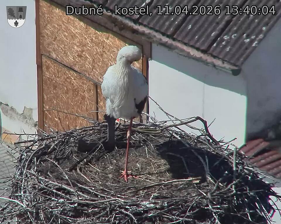 Capi_Dubne_20260411_134004.jpg (1350&nbsp;x&nbsp;1080)