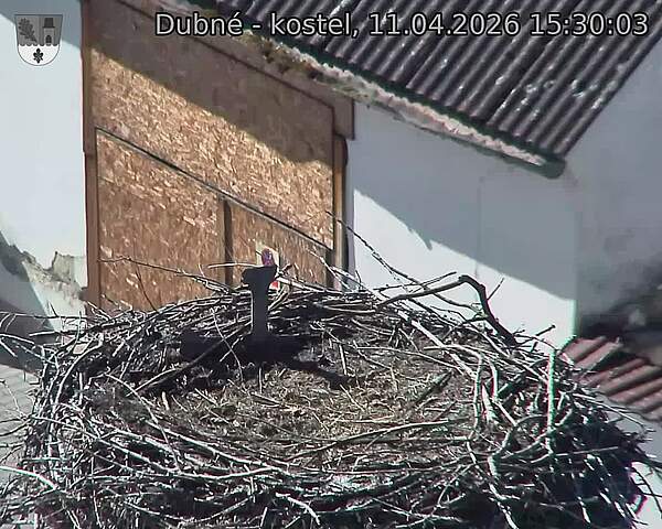Capi_Dubne_20260411_153003.jpg (1350&nbsp;x&nbsp;1080)