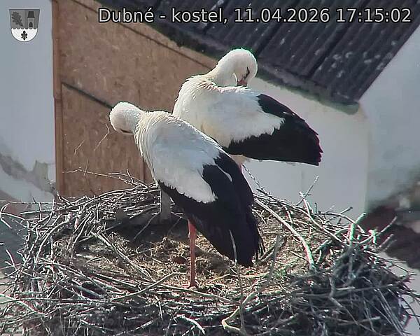 Capi_Dubne_20260411_171502.jpg (1350&nbsp;x&nbsp;1080)