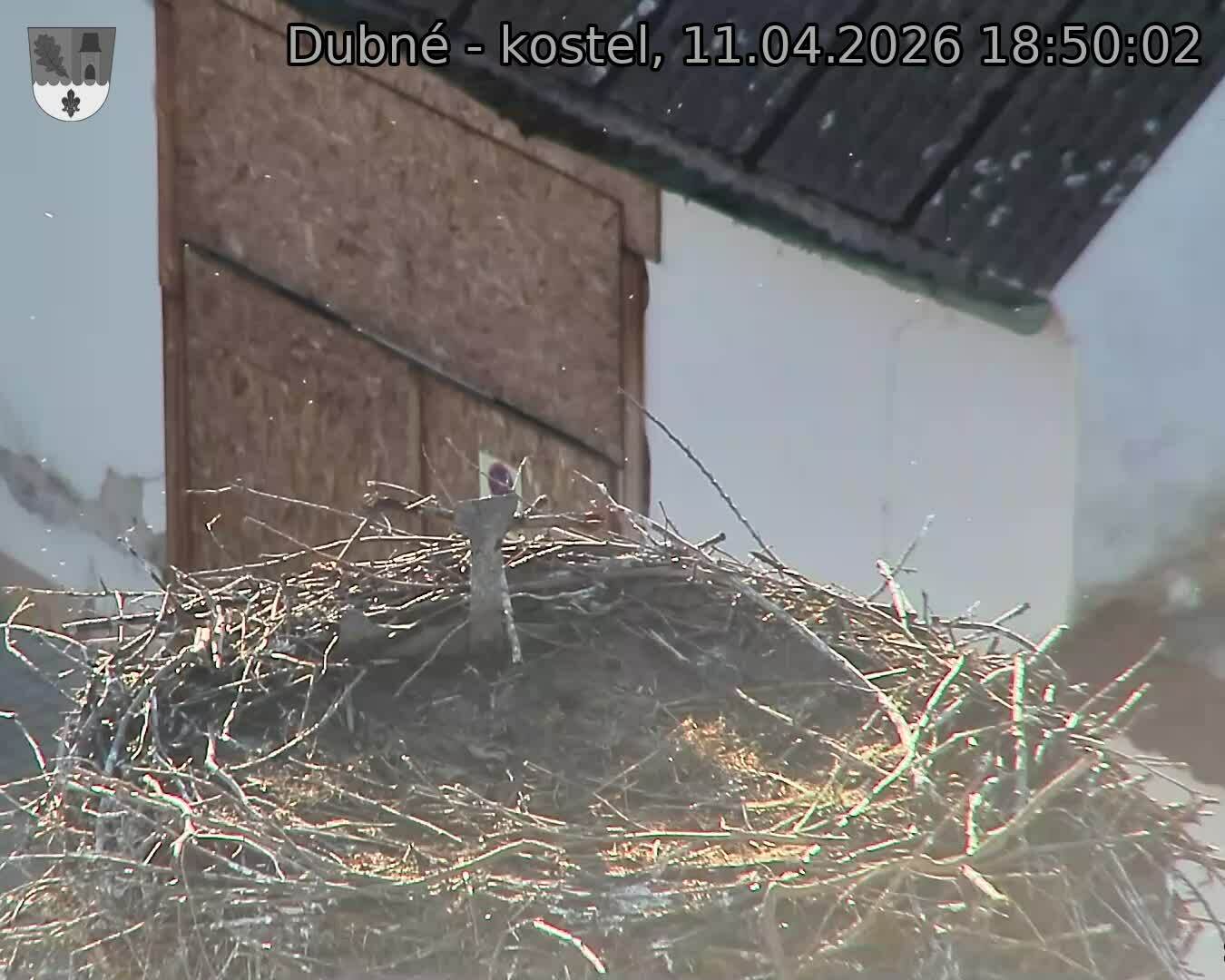 Capi_Dubne_20260411_185002.jpg (1350&nbsp;x&nbsp;1080)