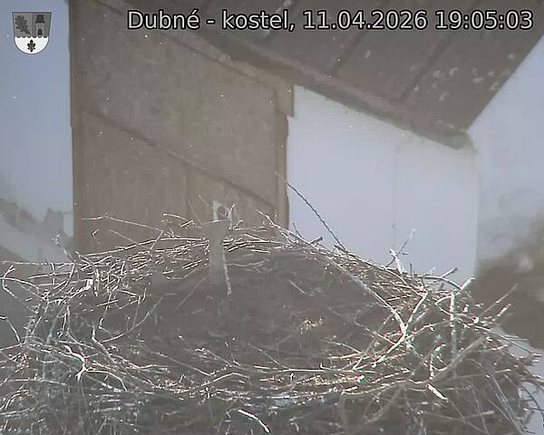 Capi_Dubne_20260411_190503.jpg (1350&nbsp;x&nbsp;1080)