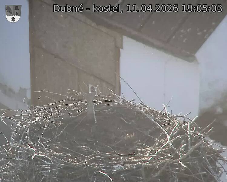 Capi_Dubne_20260411_190503.jpg (1350&nbsp;x&nbsp;1080)