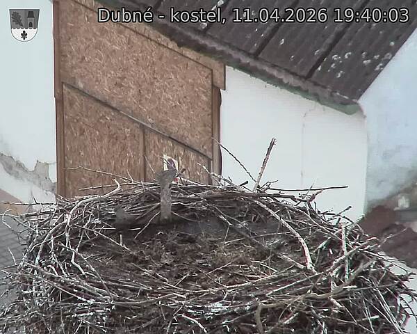 Capi_Dubne_20260411_194003.jpg (1350&nbsp;x&nbsp;1080)