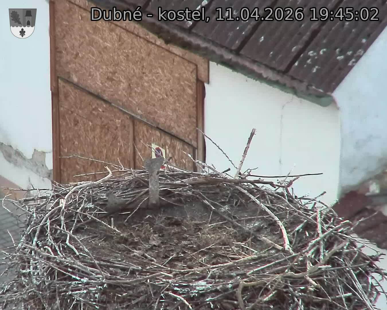 Capi_Dubne_20260411_194502.jpg (1350&nbsp;x&nbsp;1080)