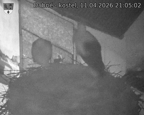 Capi_Dubne_20260411_210502.jpg (1350&nbsp;x&nbsp;1080)