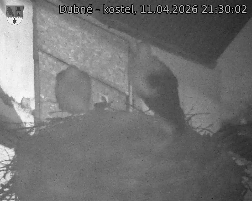 Capi_Dubne_20260411_213002.jpg (1350&nbsp;x&nbsp;1080)
