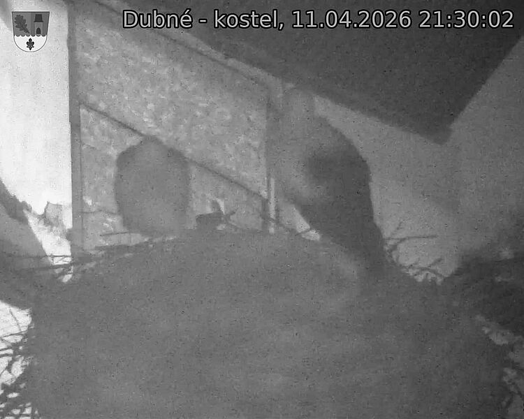 Capi_Dubne_20260411_213002.jpg (1350&nbsp;x&nbsp;1080)