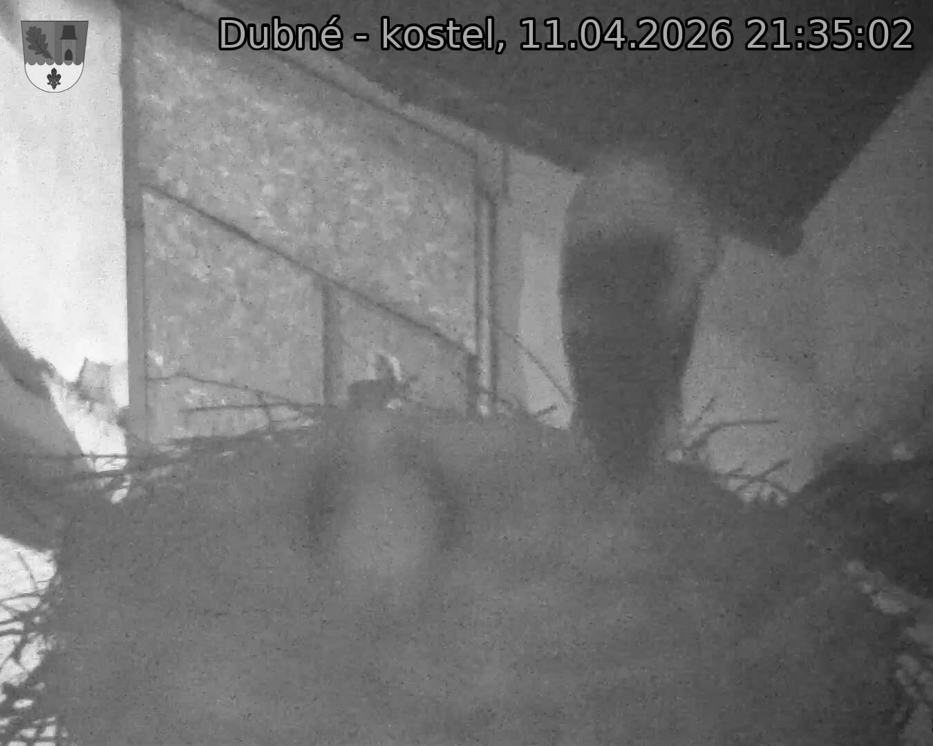 Capi_Dubne_20260411_213502.jpg (1350&nbsp;x&nbsp;1080)