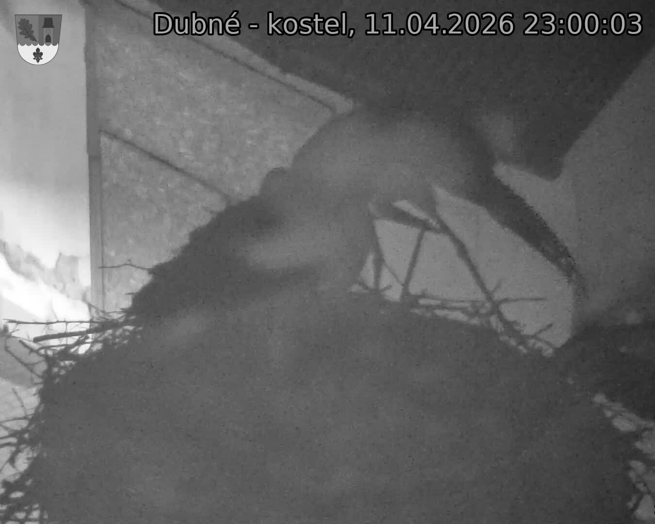 Capi_Dubne_20260411_230003.jpg (1350&nbsp;x&nbsp;1080)