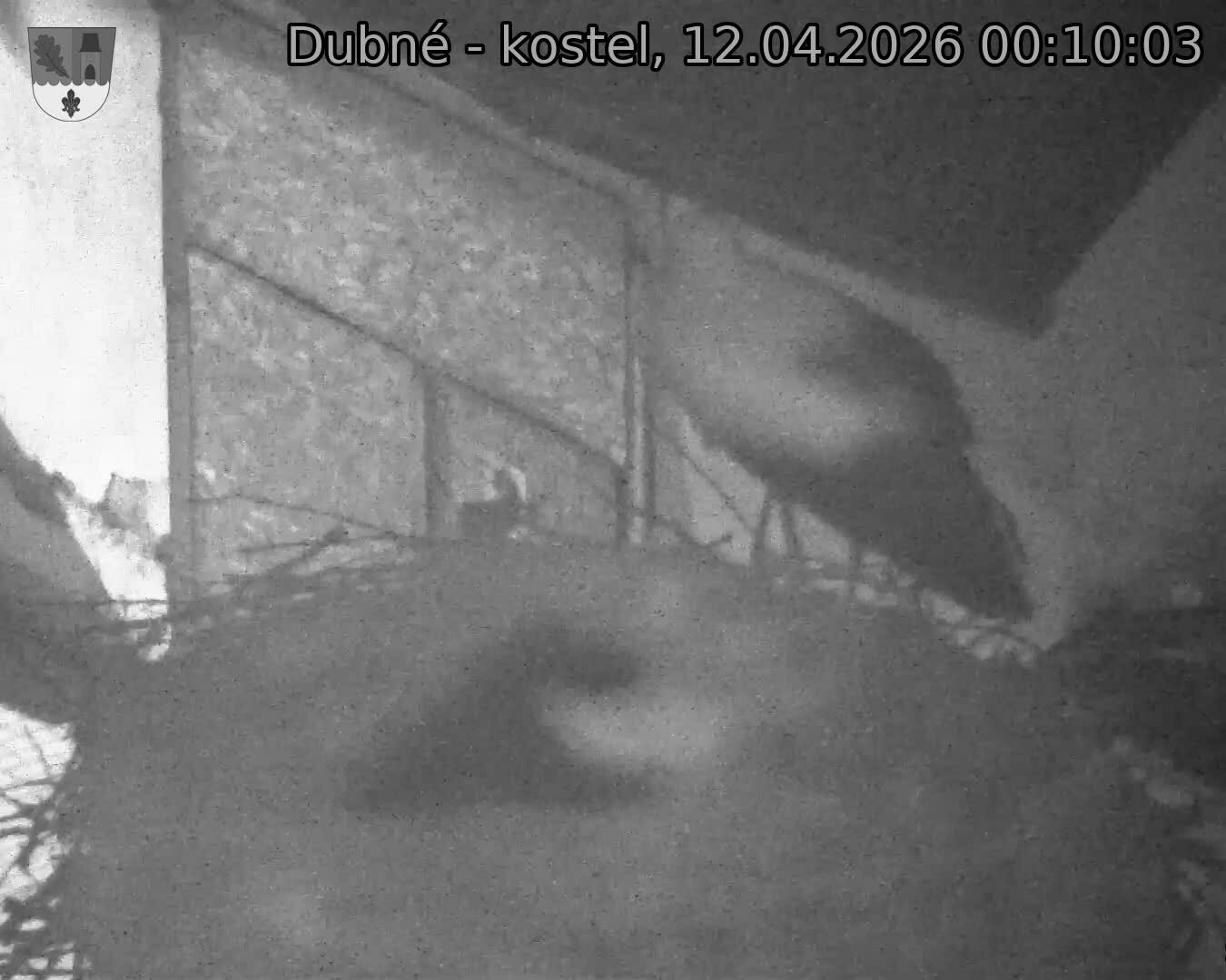 Capi_Dubne_20260412_001003.jpg (1350&nbsp;x&nbsp;1080)