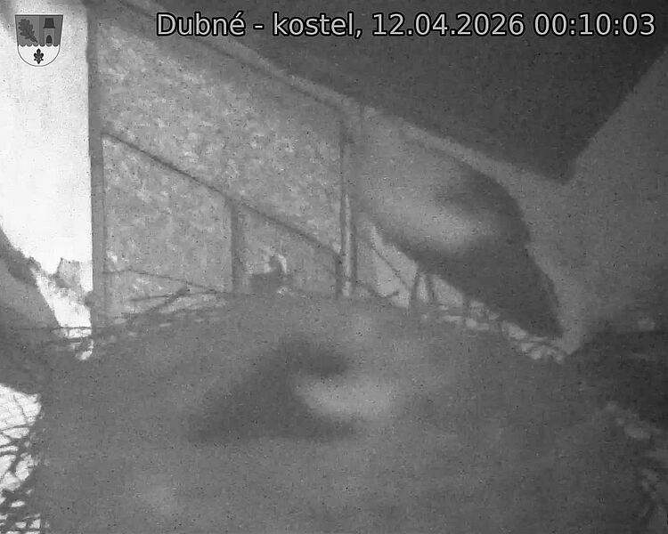 Capi_Dubne_20260412_001003.jpg (1350&nbsp;x&nbsp;1080)