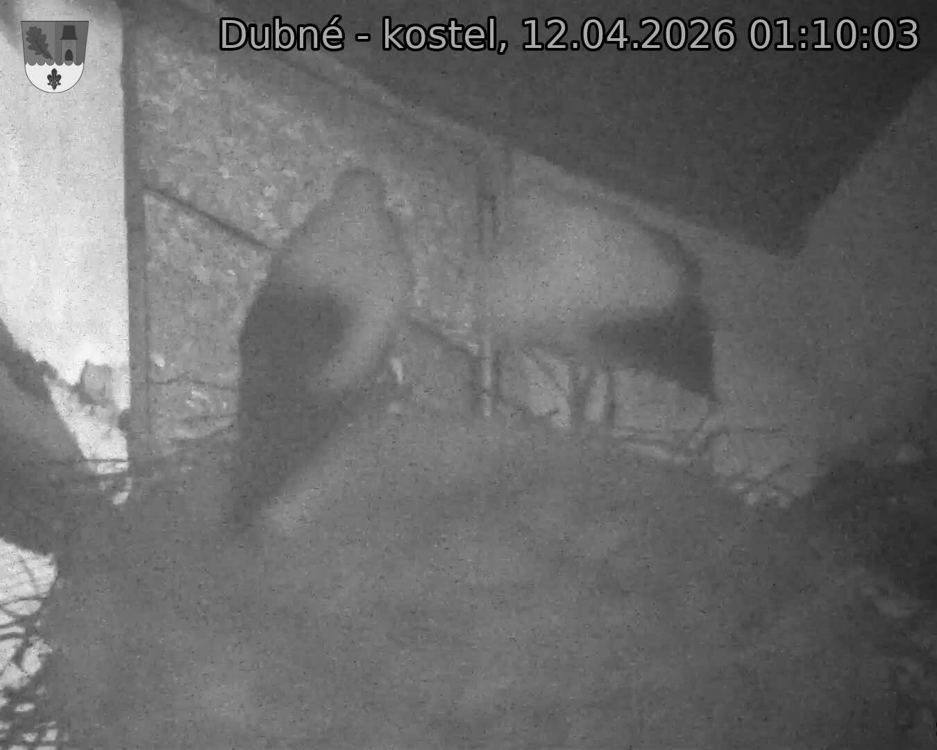 Capi_Dubne_20260412_011003.jpg (1350&nbsp;x&nbsp;1080)