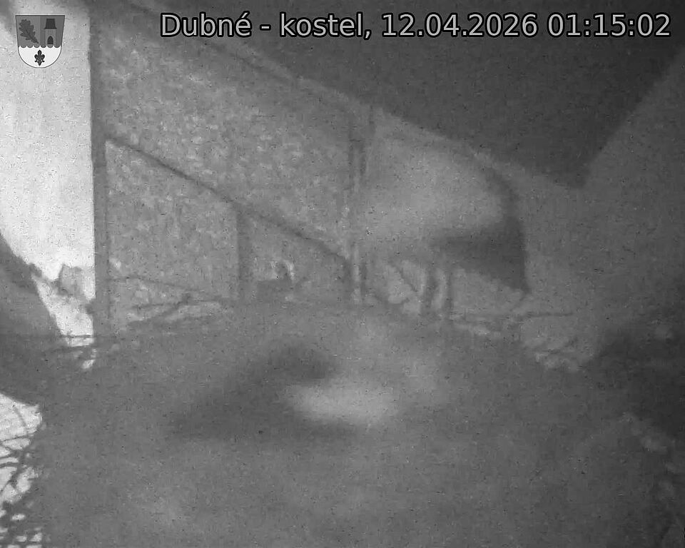 Capi_Dubne_20260412_011502.jpg (1350&nbsp;x&nbsp;1080)