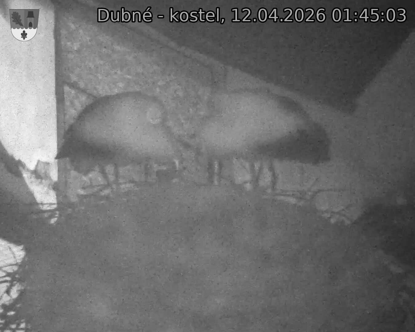 Capi_Dubne_20260412_014503.jpg (1350&nbsp;x&nbsp;1080)