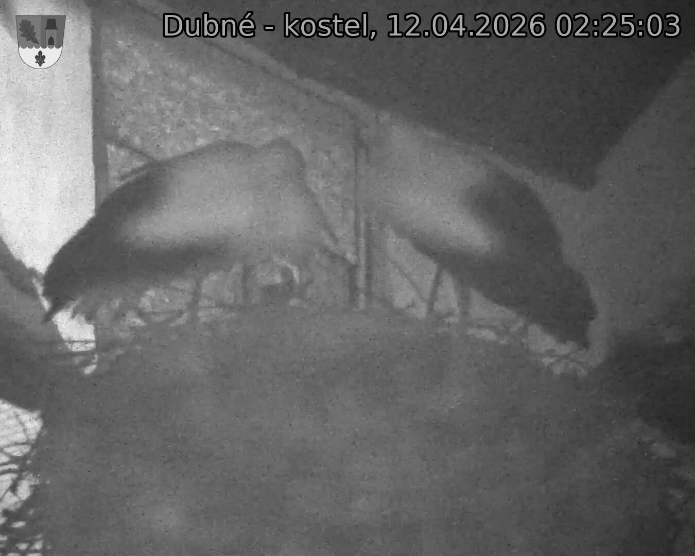 Capi_Dubne_20260412_022503.jpg (1350&nbsp;x&nbsp;1080)