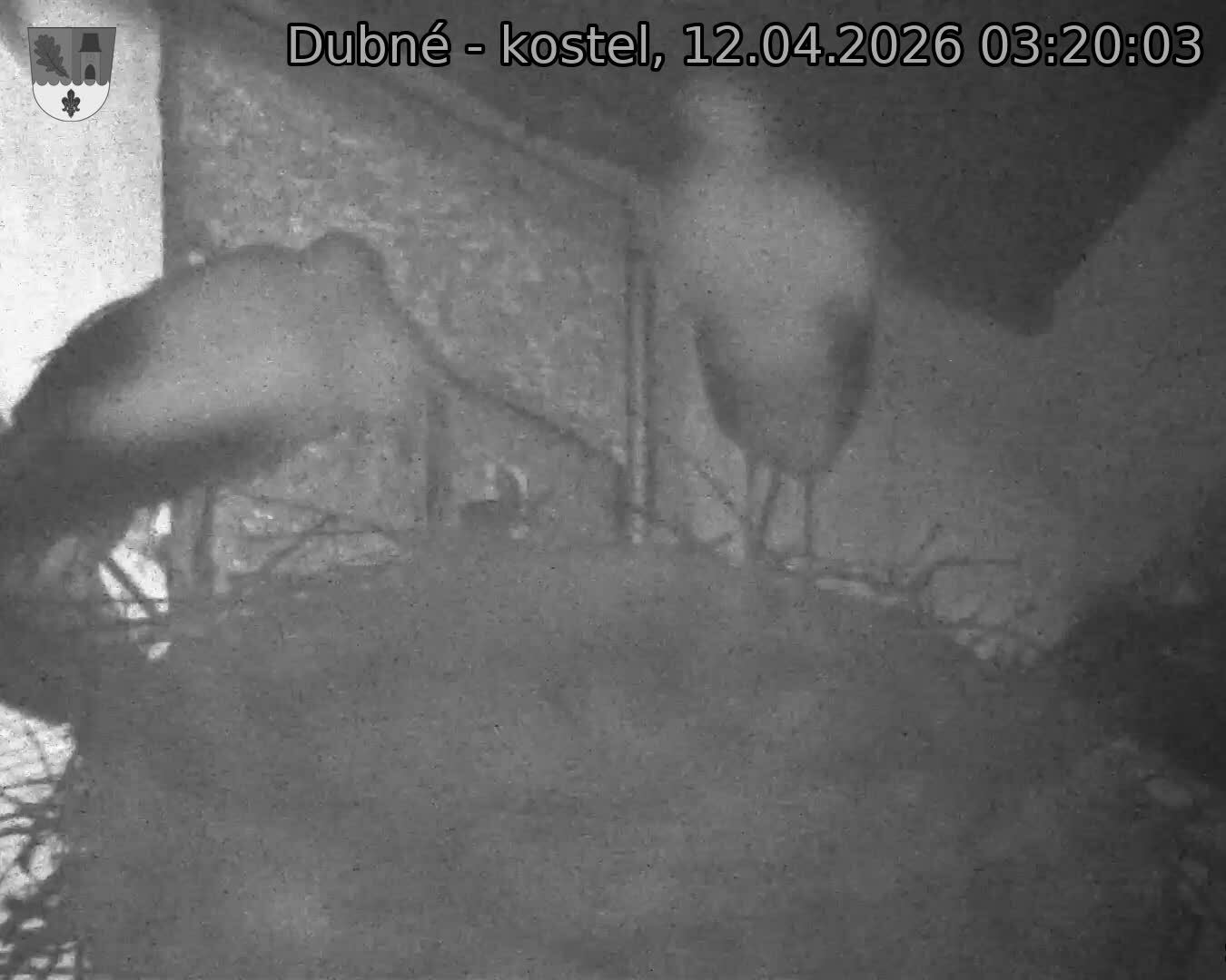 Capi_Dubne_20260412_032003.jpg (1350&nbsp;x&nbsp;1080)