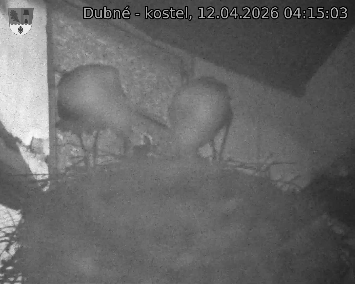 Capi_Dubne_20260412_041503.jpg (1350&nbsp;x&nbsp;1080)
