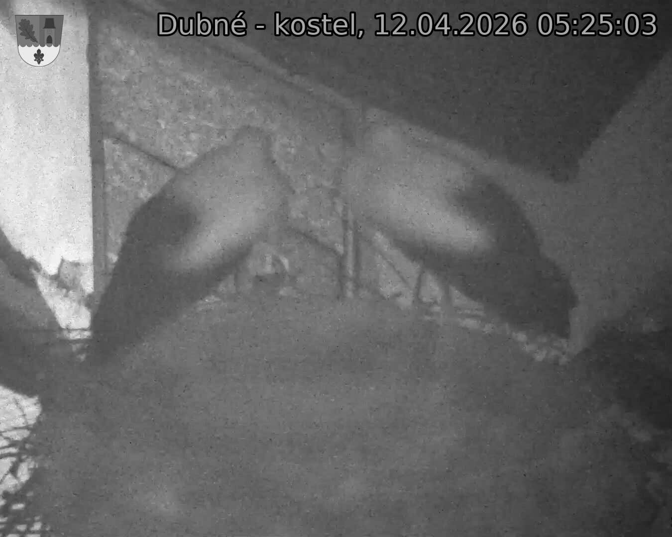 Capi_Dubne_20260412_052503.jpg (1350&nbsp;x&nbsp;1080)