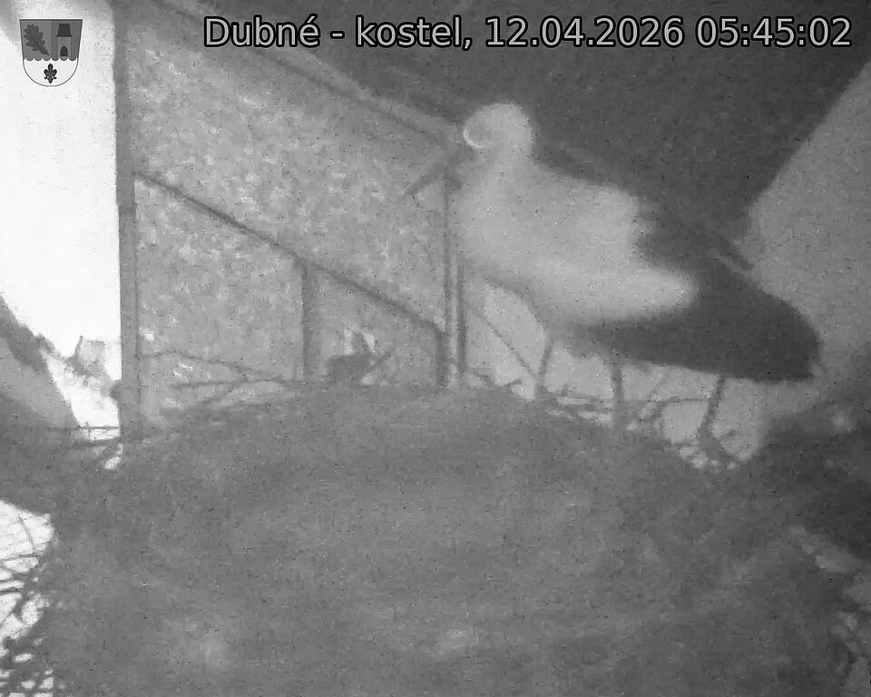 Capi_Dubne_20260412_054502.jpg (1350&nbsp;x&nbsp;1080)