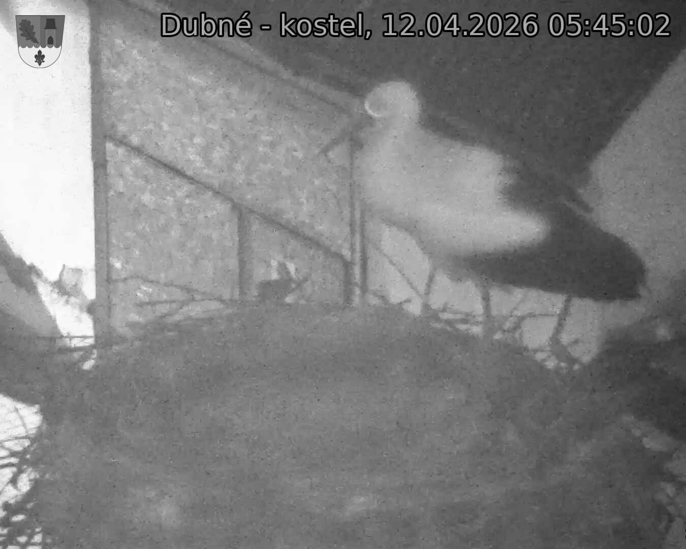 Capi_Dubne_20260412_054502.jpg (1350&nbsp;x&nbsp;1080)