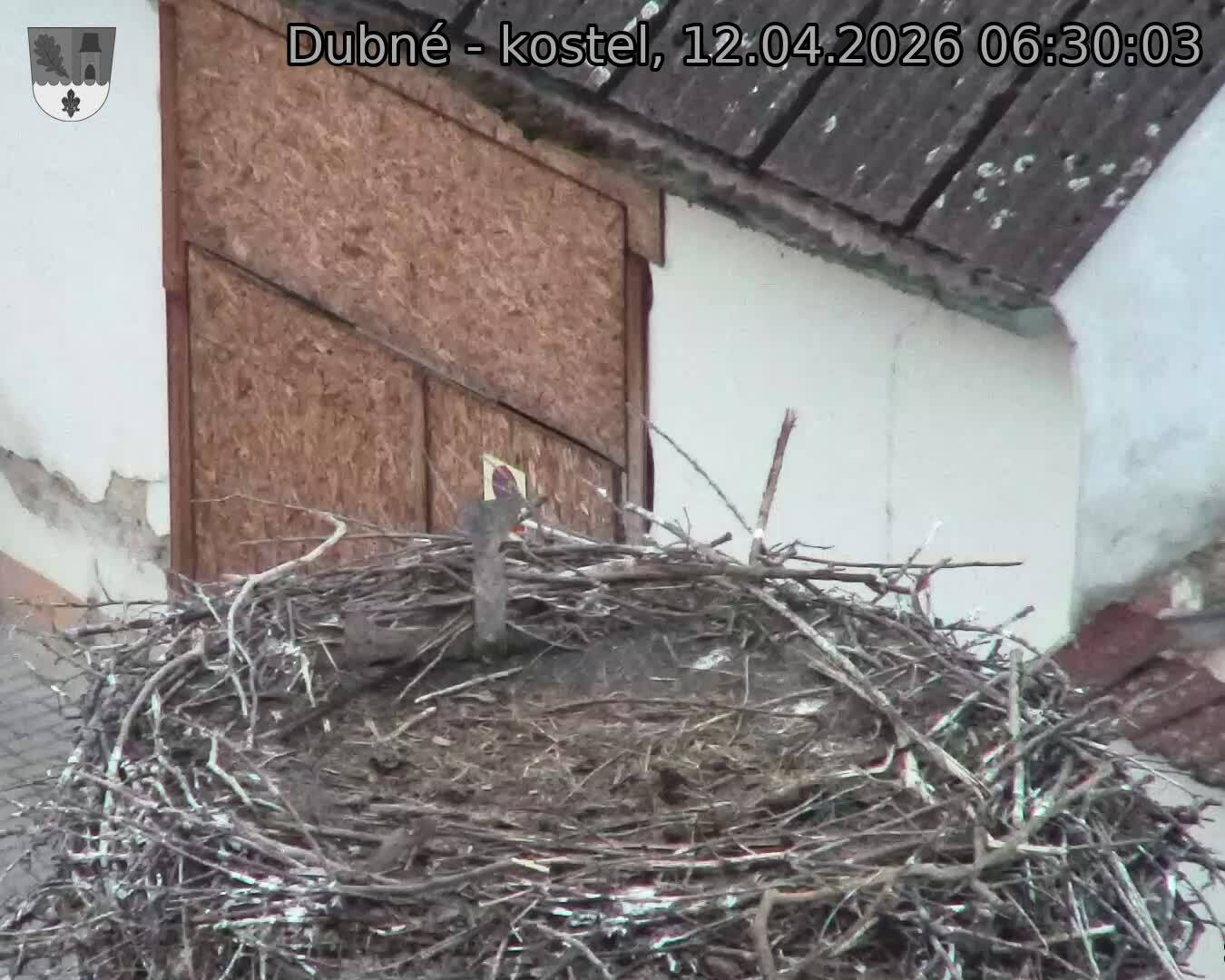 Capi_Dubne_20260412_063003.jpg (1350&nbsp;x&nbsp;1080)
