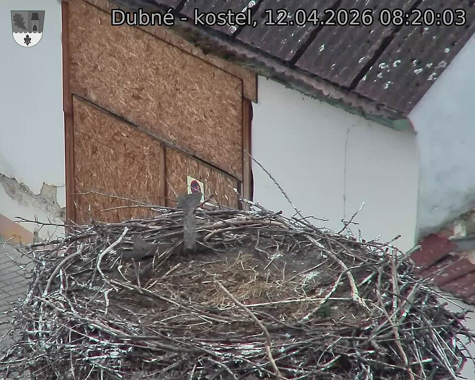 Capi_Dubne_20260412_082003.jpg (1350&nbsp;x&nbsp;1080)