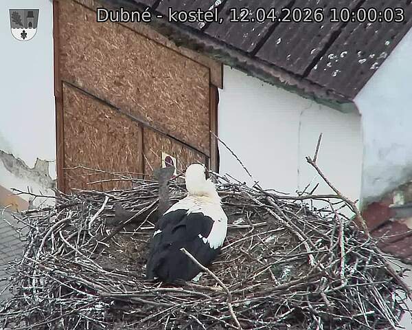 Capi_Dubne_20260412_100003.jpg (1350&nbsp;x&nbsp;1080)