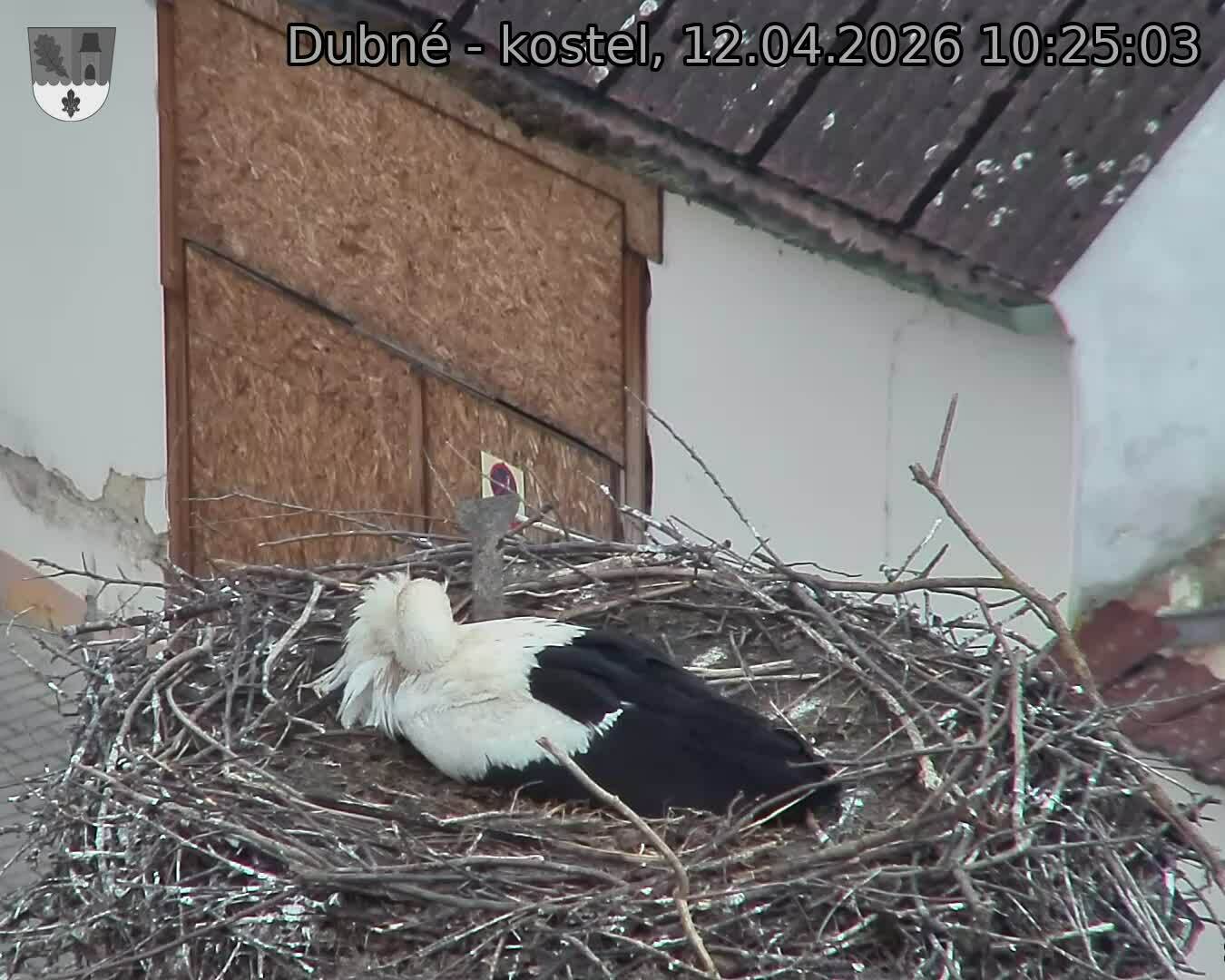 Capi_Dubne_20260412_102503.jpg (1350&nbsp;x&nbsp;1080)