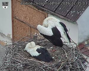 Capi_Dubne_20260412_123503.jpg (1350&nbsp;x&nbsp;1080)