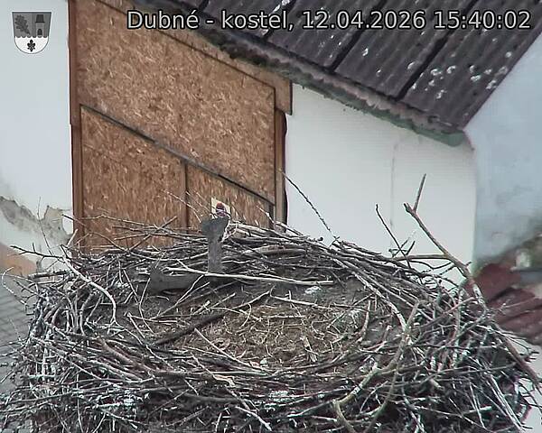 Capi_Dubne_20260412_154002.jpg (1350&nbsp;x&nbsp;1080)