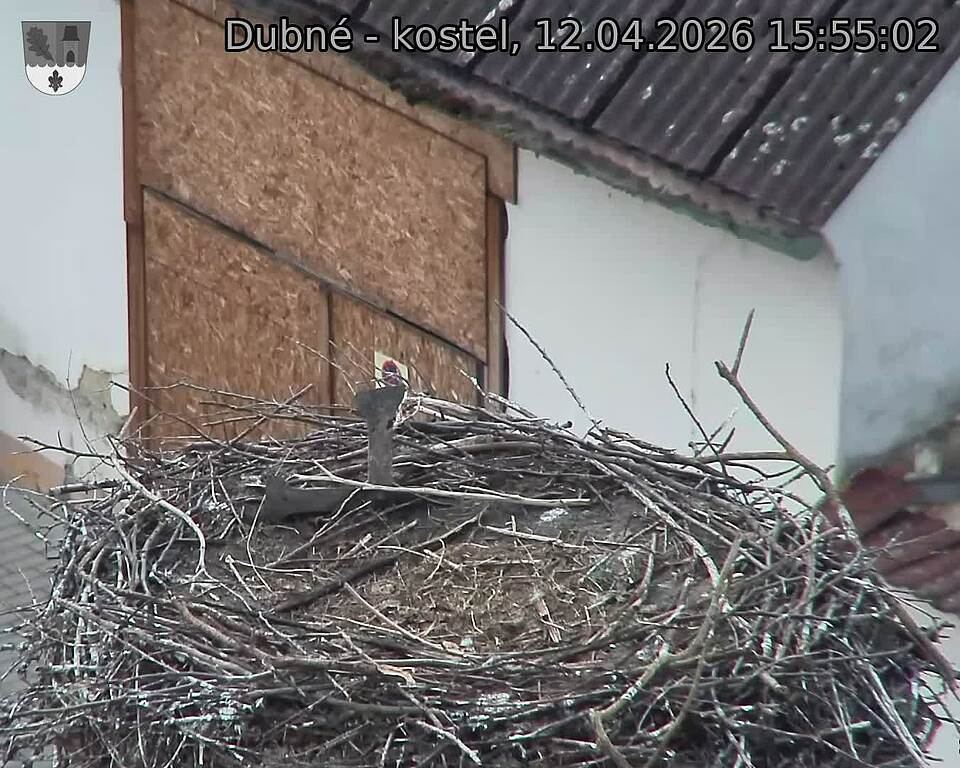 Capi_Dubne_20260412_155502.jpg (1350&nbsp;x&nbsp;1080)