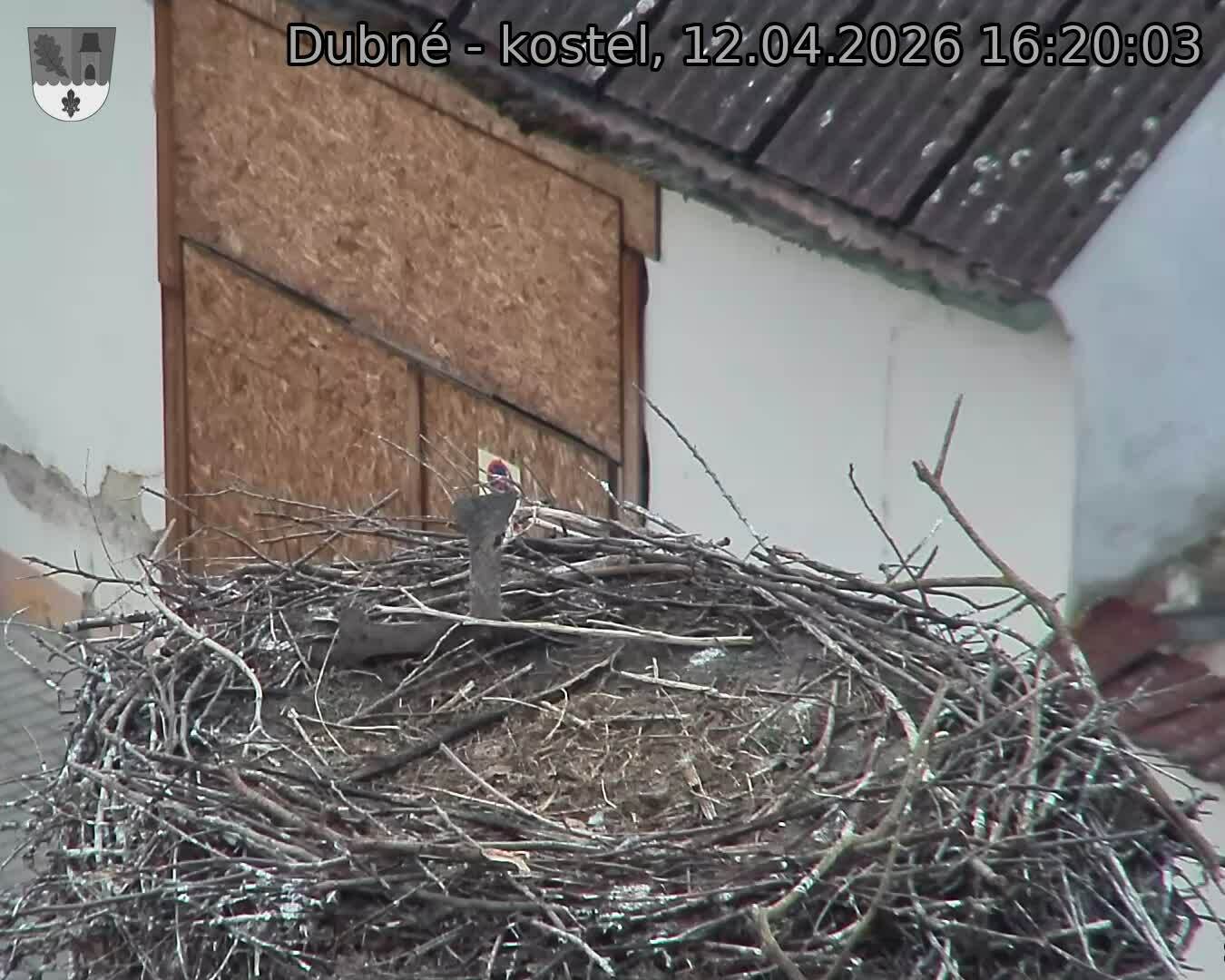 Capi_Dubne_20260412_162003.jpg (1350&nbsp;x&nbsp;1080)