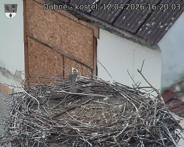 Capi_Dubne_20260412_162003.jpg (1350&nbsp;x&nbsp;1080)