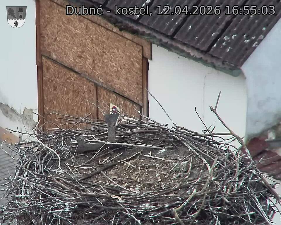 Capi_Dubne_20260412_165503.jpg (1350&nbsp;x&nbsp;1080)