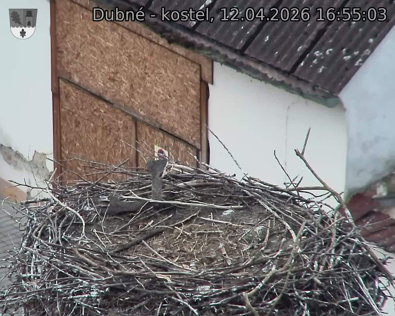 Capi_Dubne_20260412_165503.jpg (1350&nbsp;x&nbsp;1080)