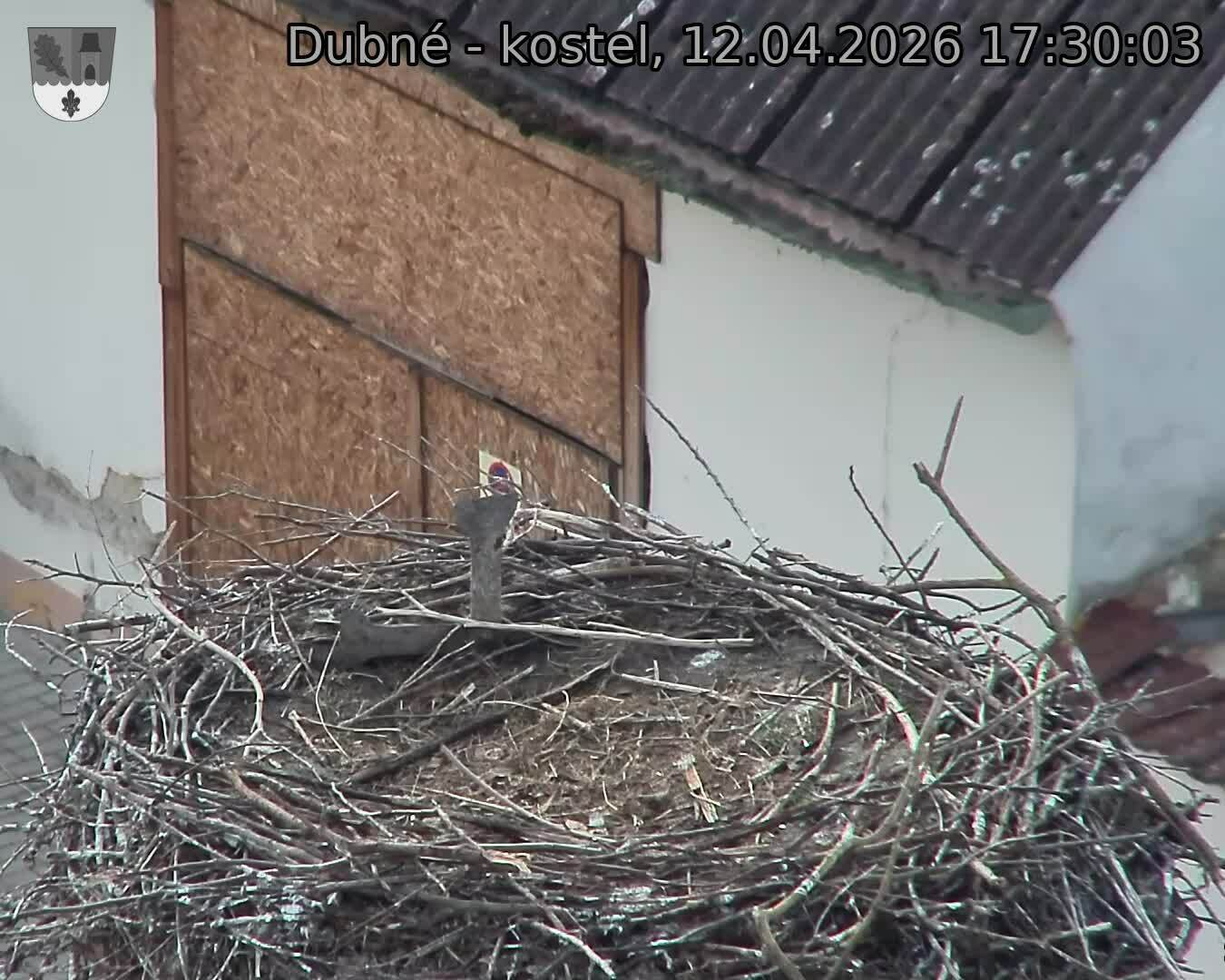 Capi_Dubne_20260412_173003.jpg (1350&nbsp;x&nbsp;1080)