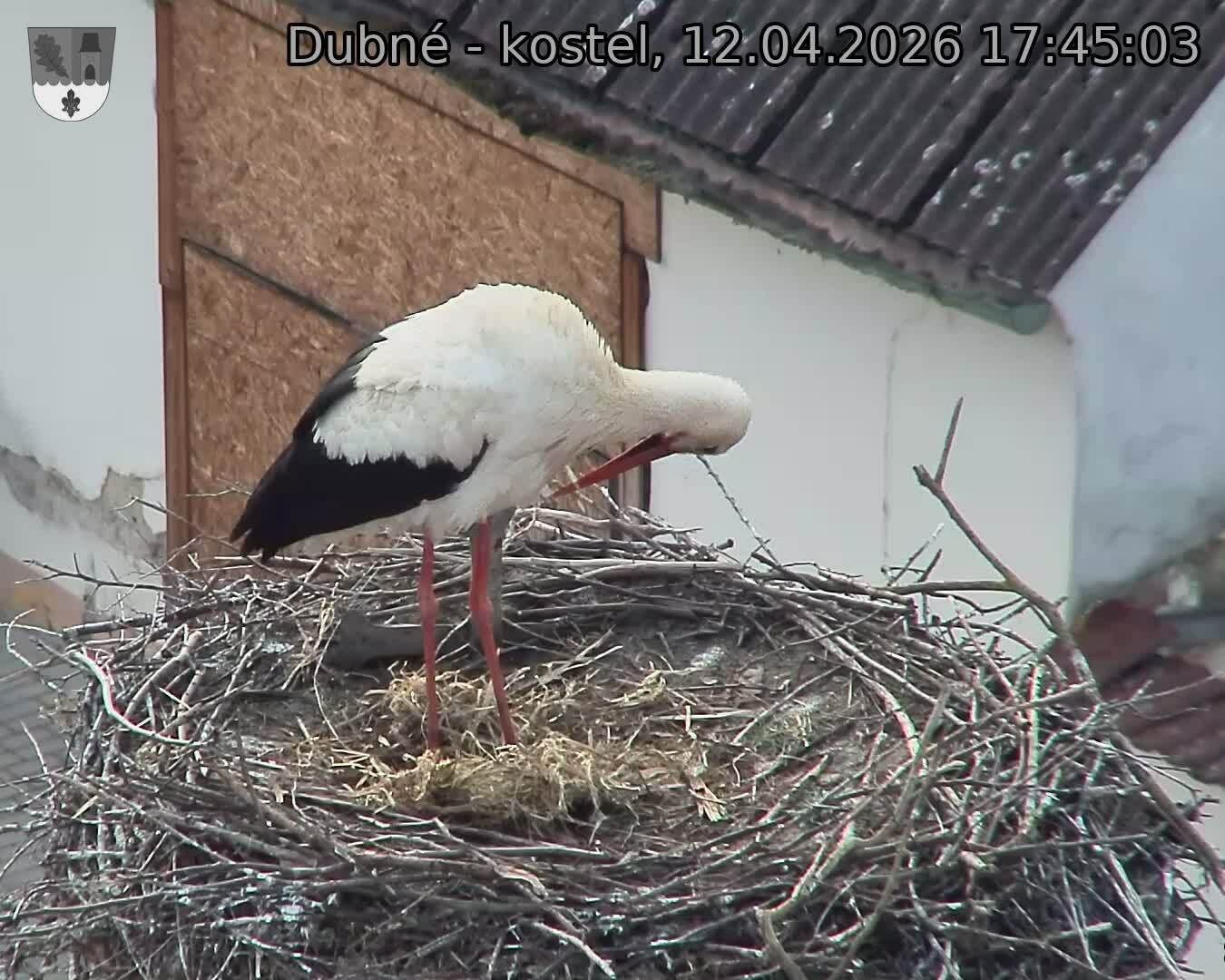 Capi_Dubne_20260412_174503.jpg (1350&nbsp;x&nbsp;1080)