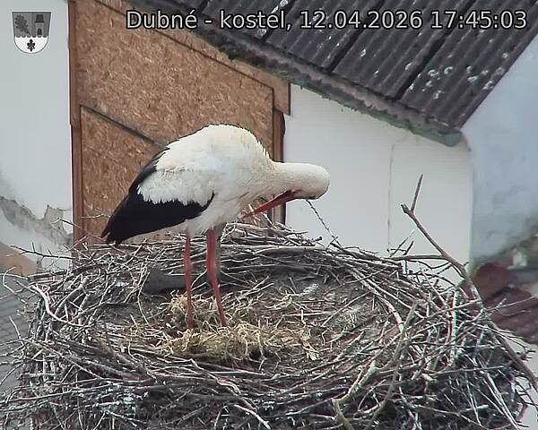 Capi_Dubne_20260412_174503.jpg (1350&nbsp;x&nbsp;1080)