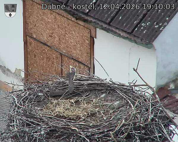 Capi_Dubne_20260412_191003.jpg (1350&nbsp;x&nbsp;1080)