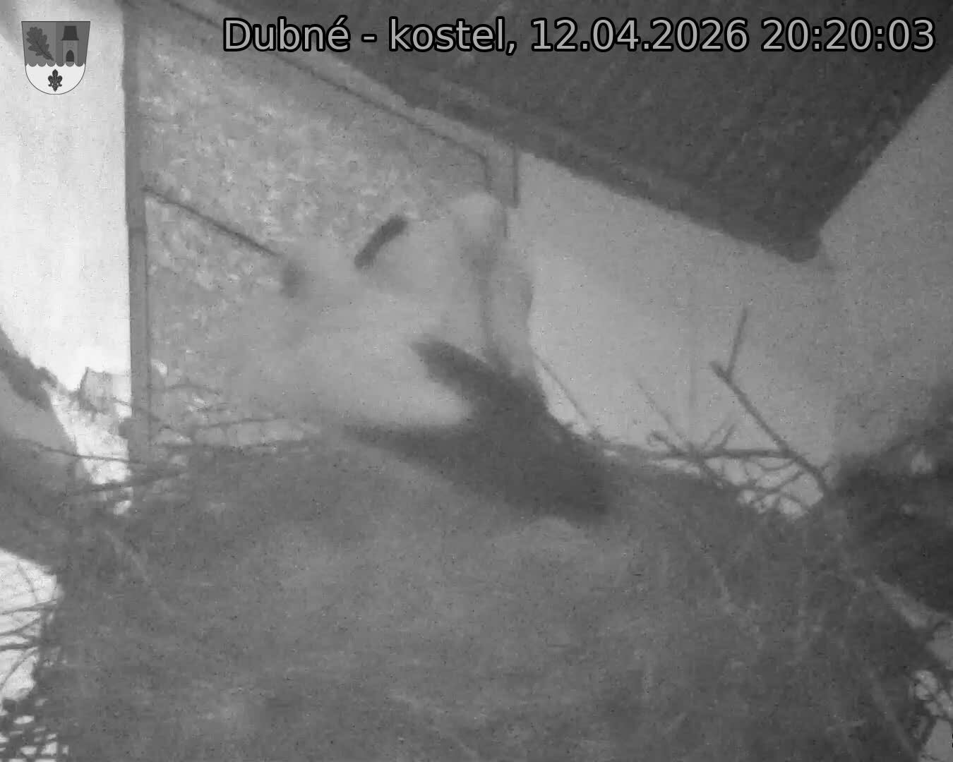 Capi_Dubne_20260412_202003.jpg (1350&nbsp;x&nbsp;1080)