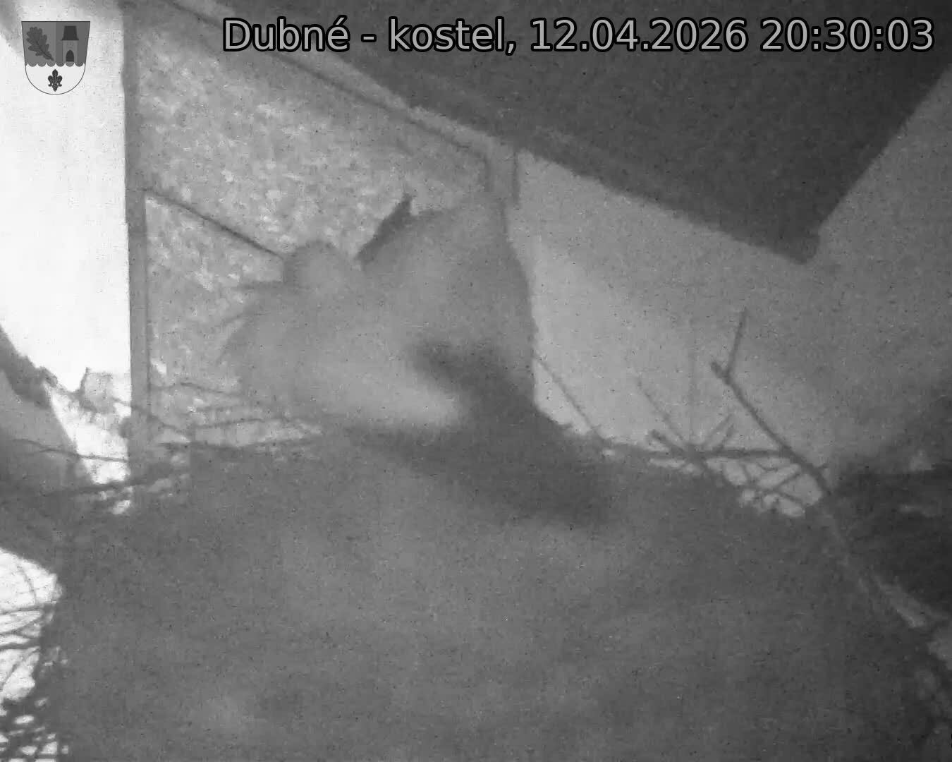Capi_Dubne_20260412_203003.jpg (1350&nbsp;x&nbsp;1080)