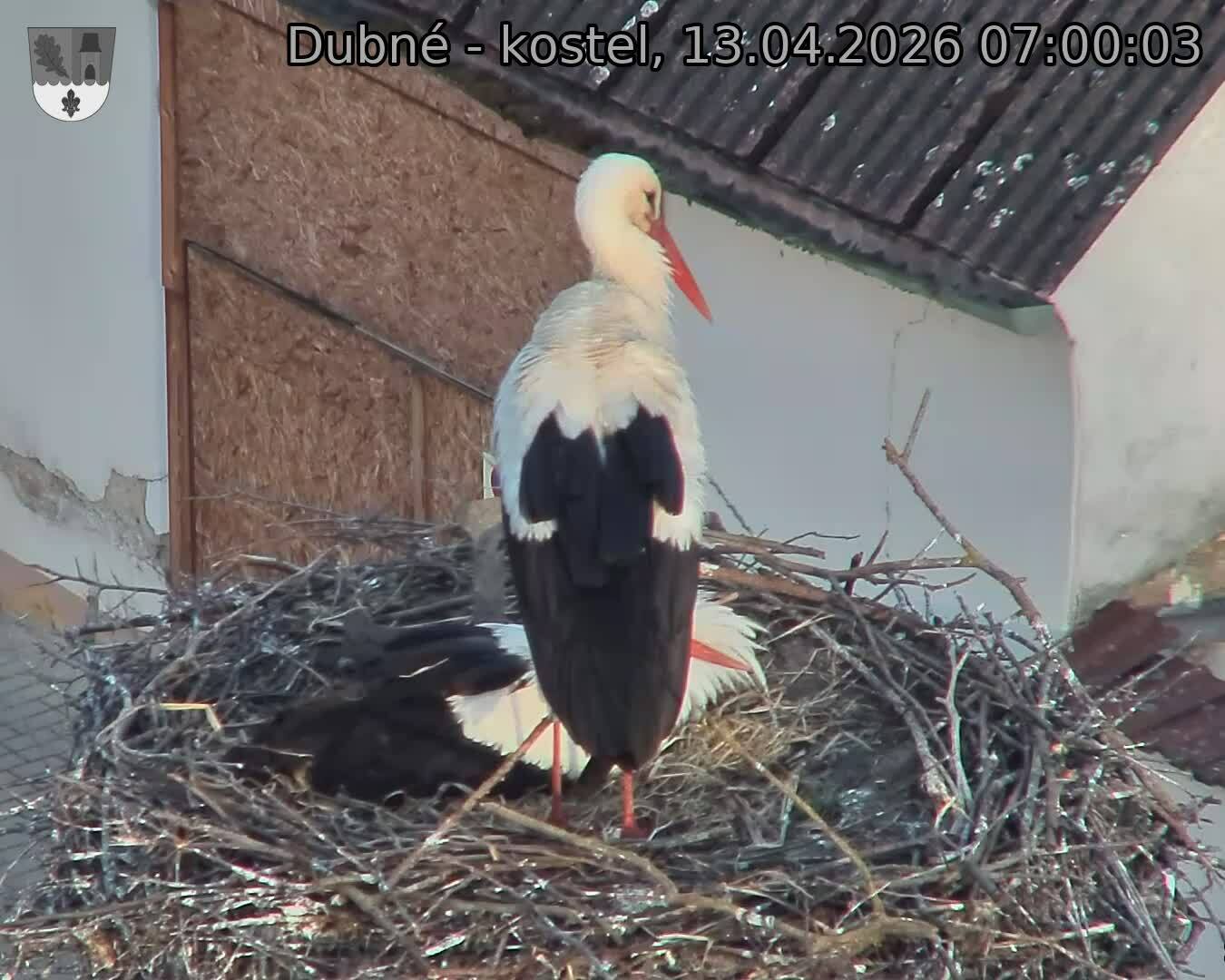 Capi_Dubne_20260413_070003.jpg (1350&nbsp;x&nbsp;1080)