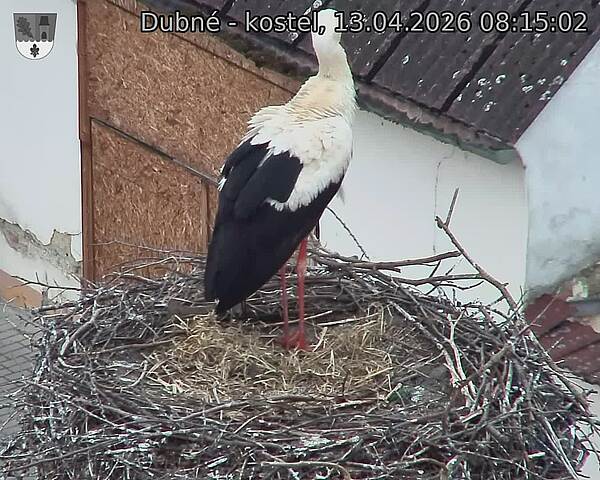 Capi_Dubne_20260413_081502.jpg (1350&nbsp;x&nbsp;1080)