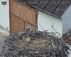 Capi_Dubne_20260413_124003.jpg (1350&nbsp;x&nbsp;1080)