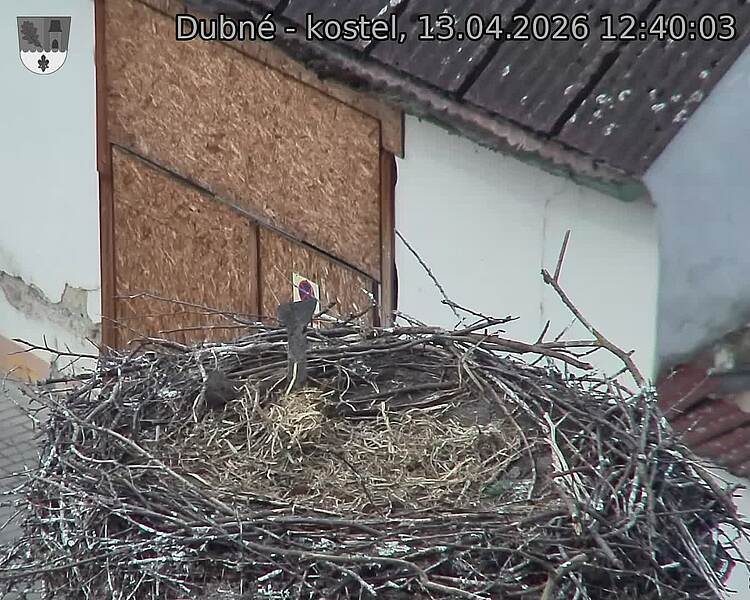 Capi_Dubne_20260413_124003.jpg (1350&nbsp;x&nbsp;1080)