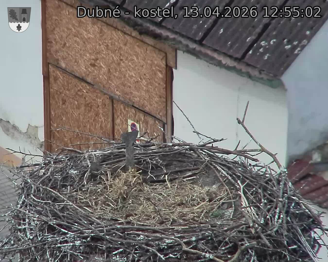 Capi_Dubne_20260413_125502.jpg (1350&nbsp;x&nbsp;1080)