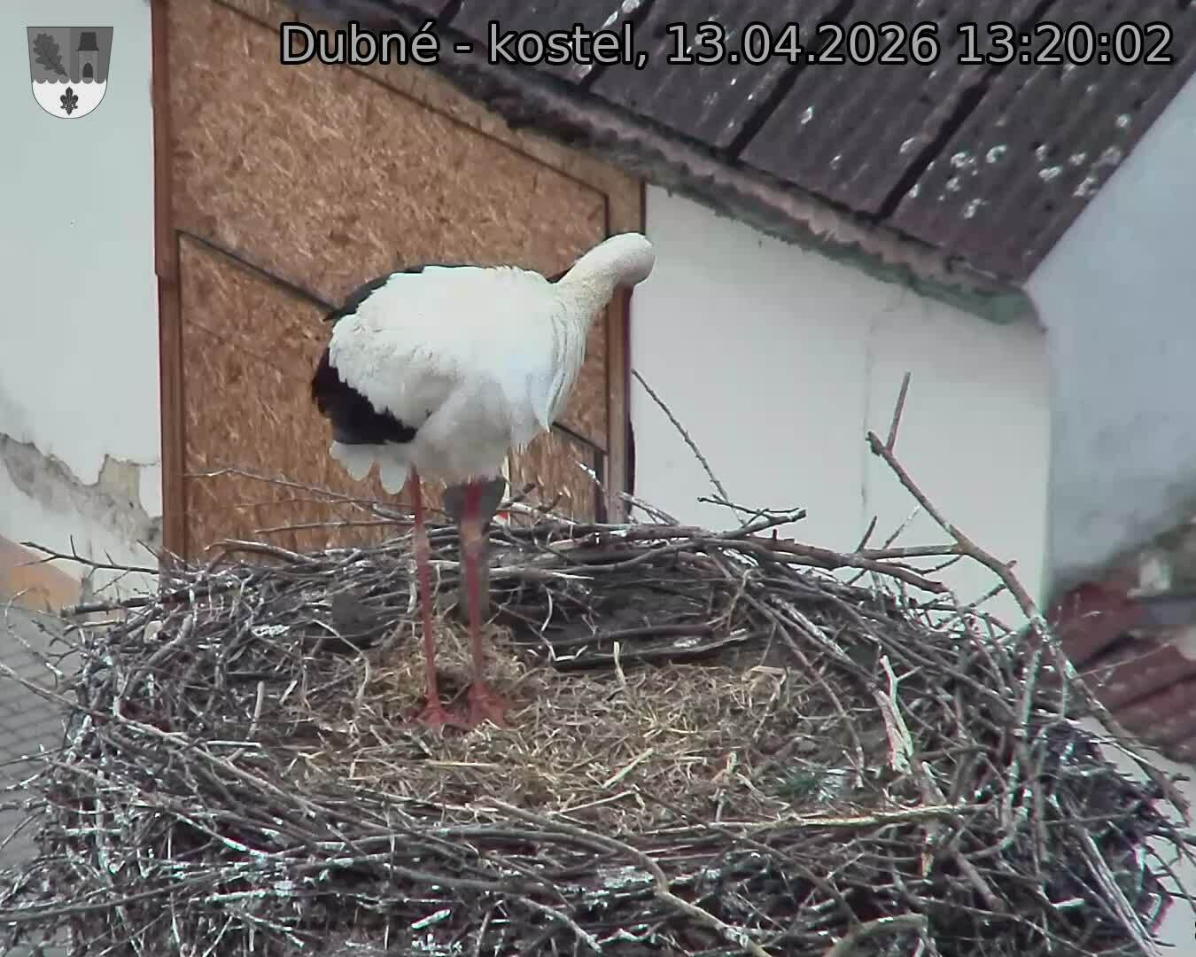 Capi_Dubne_20260413_132002.jpg (1350&nbsp;x&nbsp;1080)