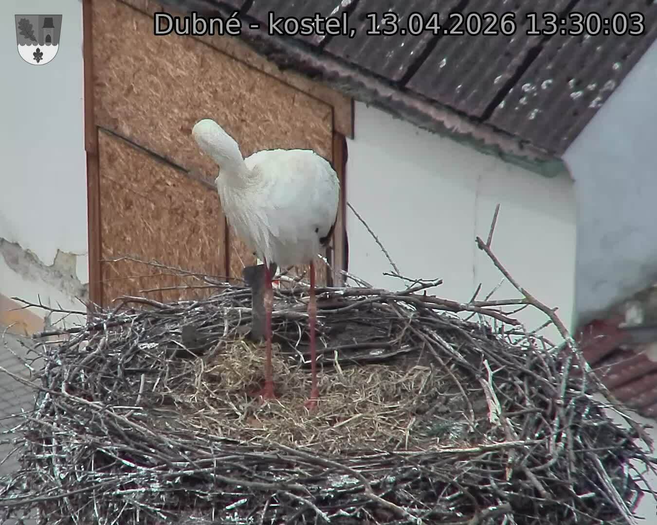 Capi_Dubne_20260413_133003.jpg (1350&nbsp;x&nbsp;1080)